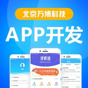 APP定制开发